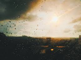 500 Rain Drop Pictures Hd Download Free Images On Unsplash Find over 100+ of the best free raindrop images. 500 rain drop pictures hd download