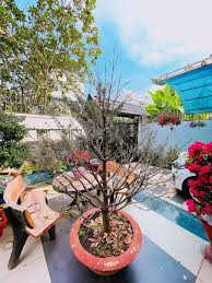 Học trường giang kia kìa. Huy Khanh Tá»›i ThÄƒm Nha Máº¡c VÄƒn Khoa Noi Rá»™ng 500m2 Gia 50 Tá»· Lam Diá»…n Vien Hai Chá»'i Vá»™i