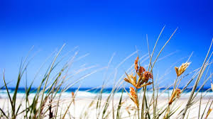 Tons of awesome sunny beach wallpapers to download for free. Beautiful Beach Big Blue Sky 1920x1080 Hd Wallpaper Sunny Beaches