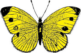 See yellow butterfly stock video clips. Yellow Butterfly Clip Art Free Vector Download It Now