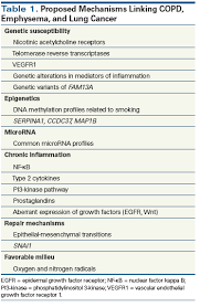 Only 17% of people with lung cancer receive the diagnosis at the earliest stage, when the disease is most treatable. Understanding The Links Between Lung Cancer Copd And Emphysema A Key To More Effective Treatment And Screening