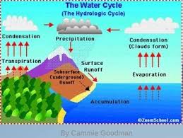 Water Cycle Unit Powerpoint And Interactive Notes 4th Grad 4th Grade Science Water Cycle Diagram Water Cycle