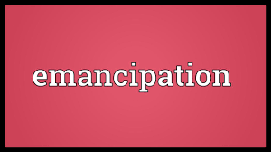 Emancipation is any effort to procure economic and social rights, political rights or equality, often for a specifically disenfranchised group, or more generally, in discussion of many matters. Emancipation Meaning Youtube