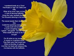 Daffodils Poem By William Wordsworth When Reading The Poem It Makes Me Think Of My Mum X William Wordsworth Poems Daffodils Daffodils Poem