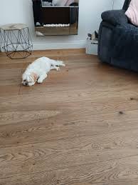 Wood Floor Polish – for all hardwood floors