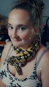 First time with three queen bees suddenly