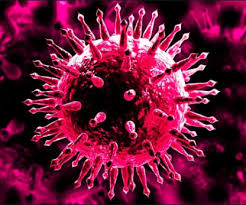 Freaks of nature ……….spooky and freaky: The Wuhan Virus Freak Of Nature Or Bioweapon David Murrin