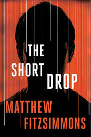 Amazon.com: The Short Drop (Gibson Vaughn) eBook: FitzSimmons ...