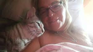 Cute cat pictures to share