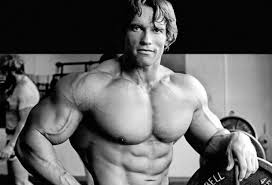 All of the old episodes. Best Documentaries On Netflix Cool Material