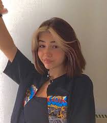 See more ideas about aesthetic hair, hair styles, hair. Hair Inspo Dye My Hair Hair Streaks Aesthetic Hair