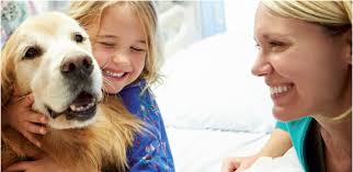 Delta Dental of Minnesota Blog