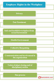 Employee Rights In The Workplace Workplace Employment Discrimination Fair Treatment