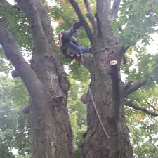We did not find results for: Asi Achtenhagen Services Inc Home Facebook