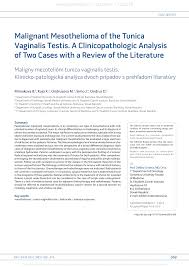 Maybe you would like to learn more about one of these? Pdf Malignant Mesothelioma Of The Tunica Vaginalis Testis A Clinicopathologic Analysis Of Two Cases With A Review Of The Literature