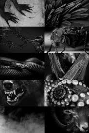 While keeping the master's secret, she begins to question reality and the morality of the people around her. Fandom Aesthetics Moodbards And Quotes Kuroshitsuji Sebastian Michaelis Answer Me Who