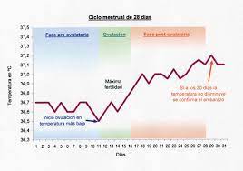 Club Madres Conoce Tus Dias Fertiles
