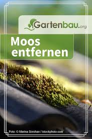 Moos Entfernen Wie Wird Man Moos Im Garten Dauerhaft Los Gartenpflege Garten Moos Moos Entfernen Gartentipps Moos