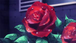 Maybe you would like to learn more about one of these? Top 30 Flowers Rose Gifs Find The Best Gif On Gfycat
