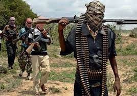 Cranfield university is on the smaller side, it teaches about 2900 students. 1 Killed Students Kidnapped As Bandits Attack Greenfield University