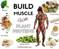 Pin On Healthy