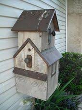 How tall do plants have to be to hide gas meter? Hiding The Gas Meter