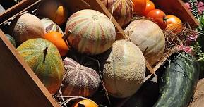 Harvest Day 2026