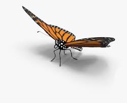 Neon butterfly 2254749 hd wallpaper backgrounds download. Butterfly Shadow 3d Interesting Freetoedit Butterfly Png With Shadow Transparent Png Transparent Png Image Pngitem