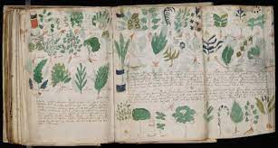 The Voynich Manuscript - Medieval Histories