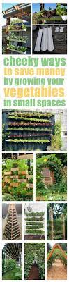 Vertical Vegetable Garden Ideas Smart Money Simple Life Vertical Vegetable Gardens Vertical Vegetable Garden Vegetable Garden