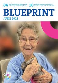BluePrint (Jun 2023) by BlueCross