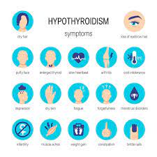 The Thyroid Gland | Queensland Health