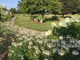 20% off all items · from $19.99 · same day delivery Howell Park Visit Fairfield County