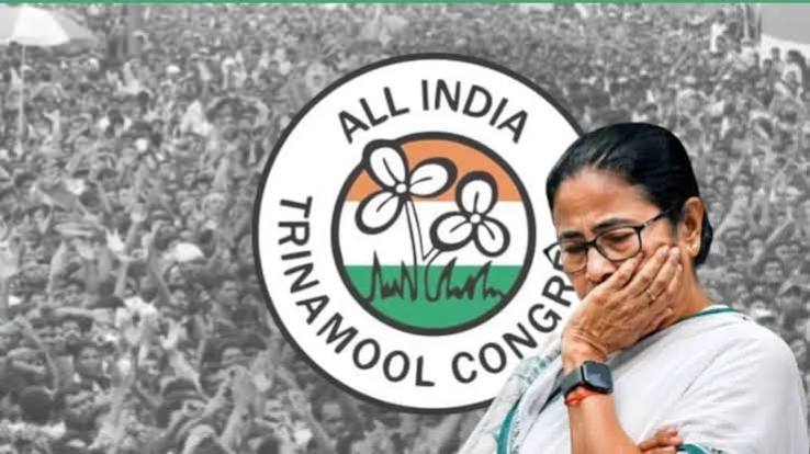 After Election Commission Freezes Trinamool Congress Symbol Madan Mitras exclusive reaction on Mamata Banerjee and ber Symbol thought