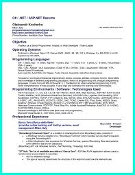 Computer Programmer Resume Has Some Paragraphs That Focuses On The Project Management Object Oriented Programming And Software Development Besides T Check