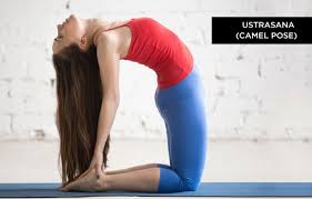 Butterfly sit on the floor, bend both knees, and bring your feet together. Sudha Ramen Ifs On Twitter Peacock Pose Mayurasana It Is Balancing The Body With One S Hands Just As The Male Peacock Brings It S Whole Body Parallel To The Ground When