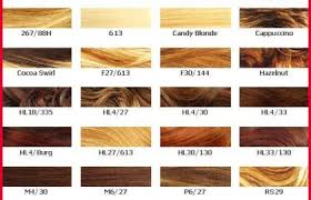 10 timeless loreal professionnel color chart