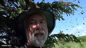 Honey Bee Swarm Capture, Unpredictable Honey Bees, and the Boss Shows Up to  help. Got them! NOT!