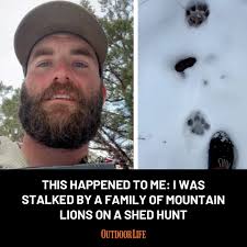 When a shed hunter comes face-to-face with a mountain lion, things go from  bad to worse as he realizes there's more than one pair of eyes watching  him.⁠ ⁠ “The two .40