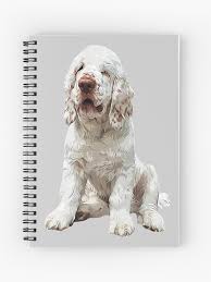 Image result for clumber španěl lov