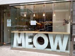 Taking A Page From Japan Meow Parlour Kittykind Team Up For Nyc S First Cat Cafe Soranews24 Japan News