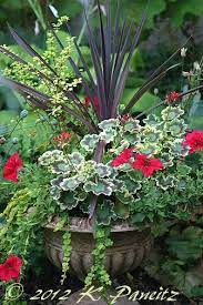 Kaseys Korner Container Flowers Container Plants Container Gardening
