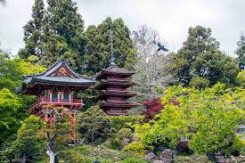 The japanese tea garden, the oldest public japanese garden in the united states located inside golden gate park in san francisco, created for the 1894 california midwinter international exposition as part of the fair's japanese village exhibit. Japanese Tea Garden Visit California And Beyond