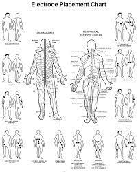 tens unit electrode pad placement graphic unsure where to