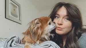 Senior Dog Needs Foster or Adopter for End of Life Care