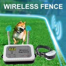 After conducting extensive research and rigorous analysis we have concluded that as of 2021, the best wireless dog fence is the spoton virtual smart fence system, while the top electric fence for a dog is the extreme dog fence. 13 Best Invisible Dog Fences Reviewed Wireless Electric