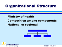 Organization Of Care M6920 October 16 Columbia University