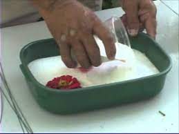 Maybe you would like to learn more about one of these? How To Use Silica Gel To Dry Flowers Youtube