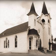 Image result for Newtonia