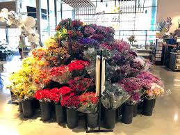 We did not find results for: Whole Foods Drops The Ball Albertsons Picks It Up Bistro Onesix